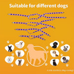 Lamiaraga pet sanitary pantie suspenders two pack application process illustration.