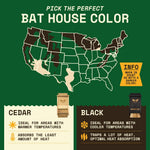 WildYard natural wood bat roost with tongue-and-groove build