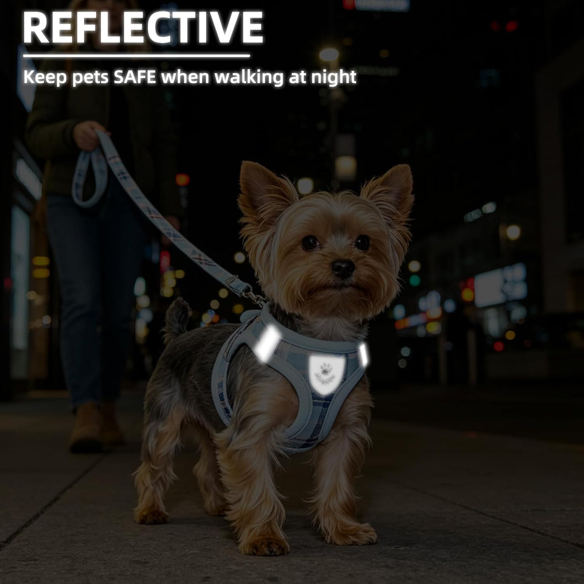 Matching collar with bell included in the PUPTECK pet set