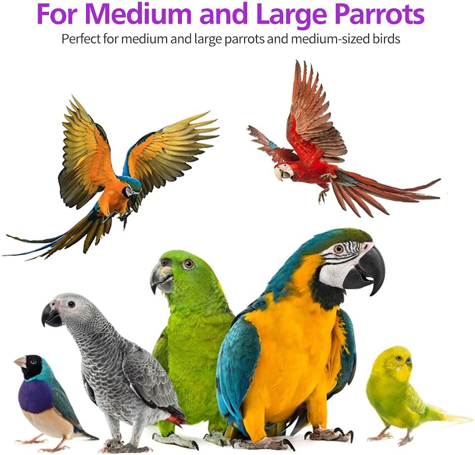 Non toxic food grade dyed wooden blocks for bird beak health