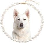 Dropy India imported Ymapinc pink beaded dog necklace for party dress up
