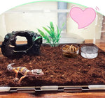 DQITJ 20 pieces clear plastic water bowl set for tarantula