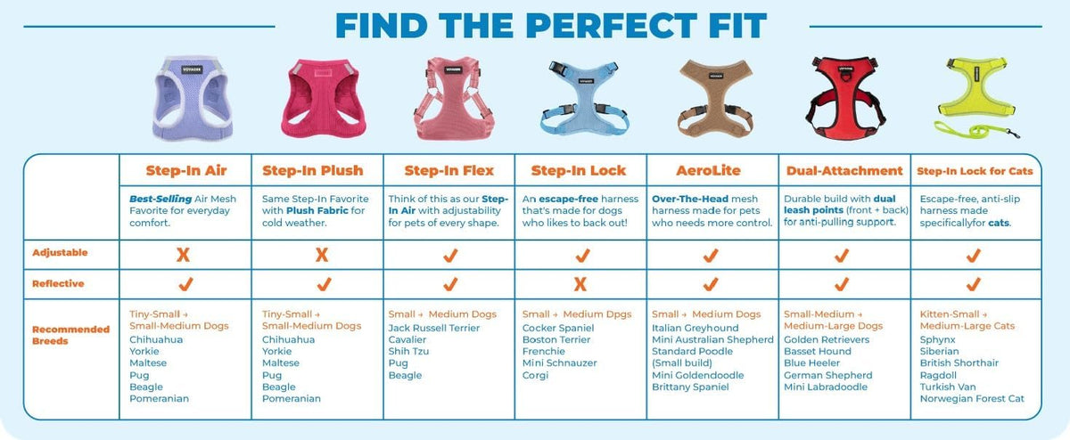 Best Pet Supplies kitten walking vest with dual leash attachments