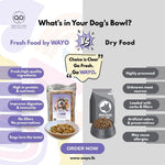 Healthy dog enjoying a bowl of WaYo fresh human-grade meal