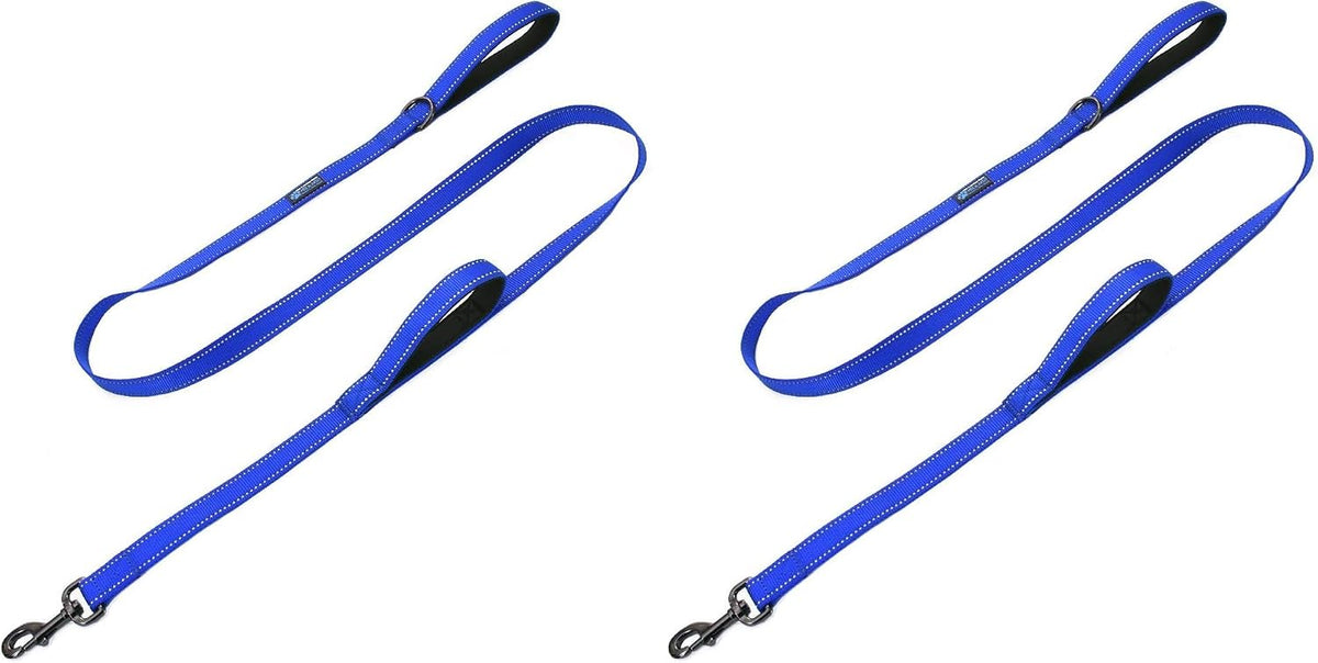 Full length view of Max and Neo reflective traffic dog leash