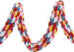 Medium parrot perched comfortably on the multicolor bungee toy