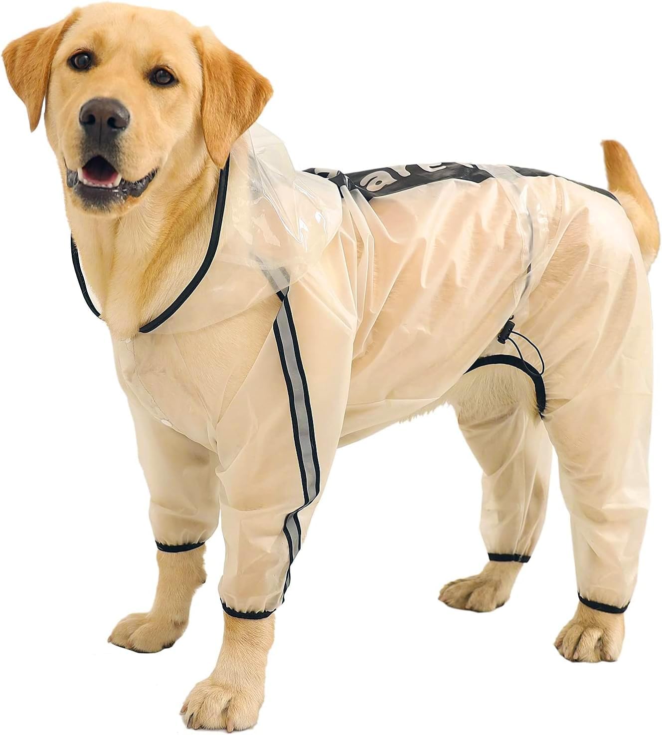 Olsa dog raincoat front view showing the transparent waterproof hooded slicker poncho on a small dog.