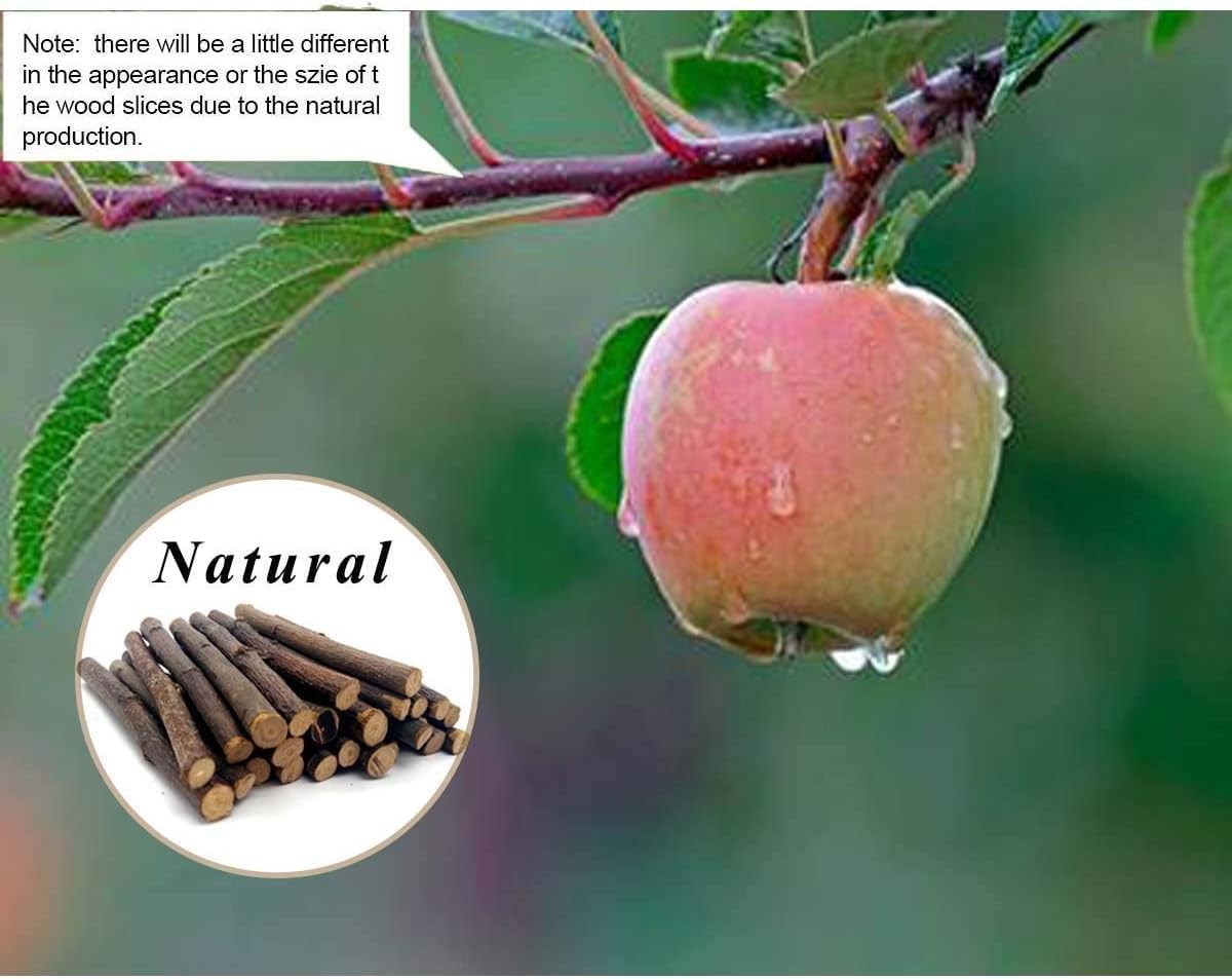 Safe pesticide free apple tree branches close up view highlighting pure wood texture