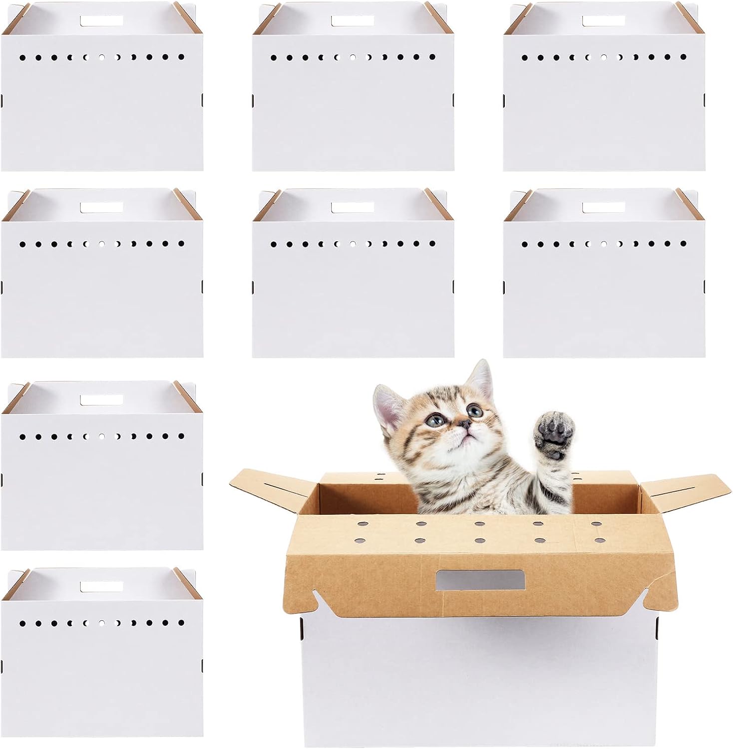 Kisston 12 Pieces Cardboard Pet Carriers 17.5 x 8.5 x 15 Inches for Small Animals Cat Hamster Guinea Pig Rabbit Bird Travel Box - Image 1
