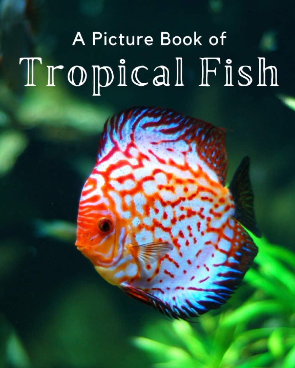 A Picture Book of Tropical Fish: A Beautiful Picture Book for Seniors With Alzheimerâ€™s or Dementia. (Picture Books For Seniors) - Image 1
