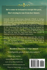 Under the Emerald Sky Irish Fortune Series book back cover details