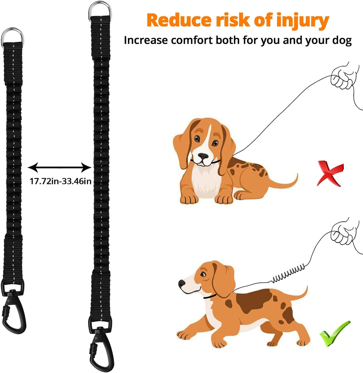 Jenico training leash shock absorbing bungee