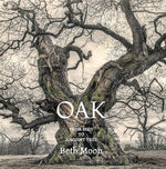 Oak: From Seed to Ancient Tree - Image 2
