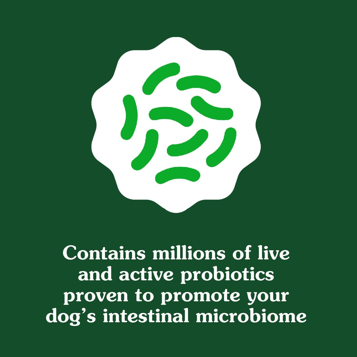 Close-up view of the chicken flavored soft chew digestive supplements for adult dogs.