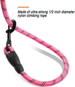 BARKBAY pink dog leash reflective threads glowing in low light