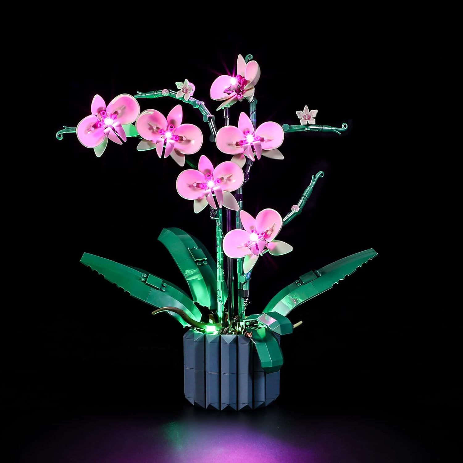 Lightailing LED light kit for Lego 10311 Orchid front view
