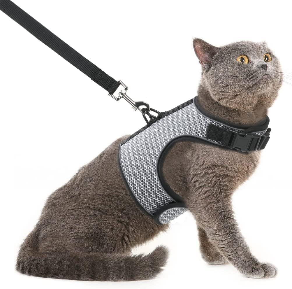 PUPTECK Soft Mesh Cat Vest Harness and Leash Set Puppy Padded Pet Harnesses Escape Proof for Cats Small Dogs (X-Large, Lake Blue) - Image 11