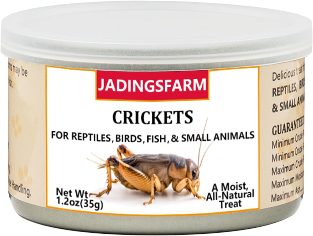 Six pack canned crickets for fish and birds packaging