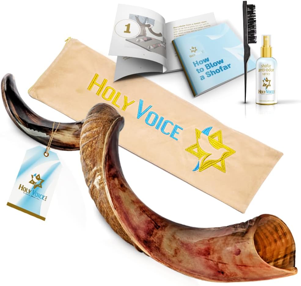 Holy Voice Kosher Kudu Shofar front view