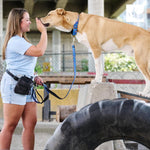 1.5 inch wide dog collar flat lay