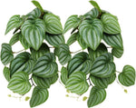 2Pack Reptile Fake Plants for Terrarium, Snake Tank Accessories, Habitat Decor Artificial Hanging Plants with Suction Cup - Fake Monstera - Image 11