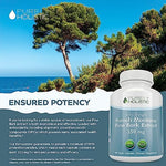 Purely Holistic non GMO and pesticide free vegan capsules product presentation