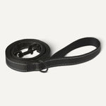 Amazon Basics heavy duty dog leash attached to a collar via the easy snap metal hook