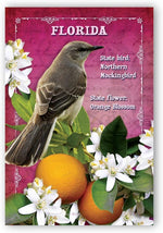 Postcard Fair Florida postcard variety pack featuring retro state symbols