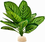 FLmoving reptile terrarium plant in vibrant green and red