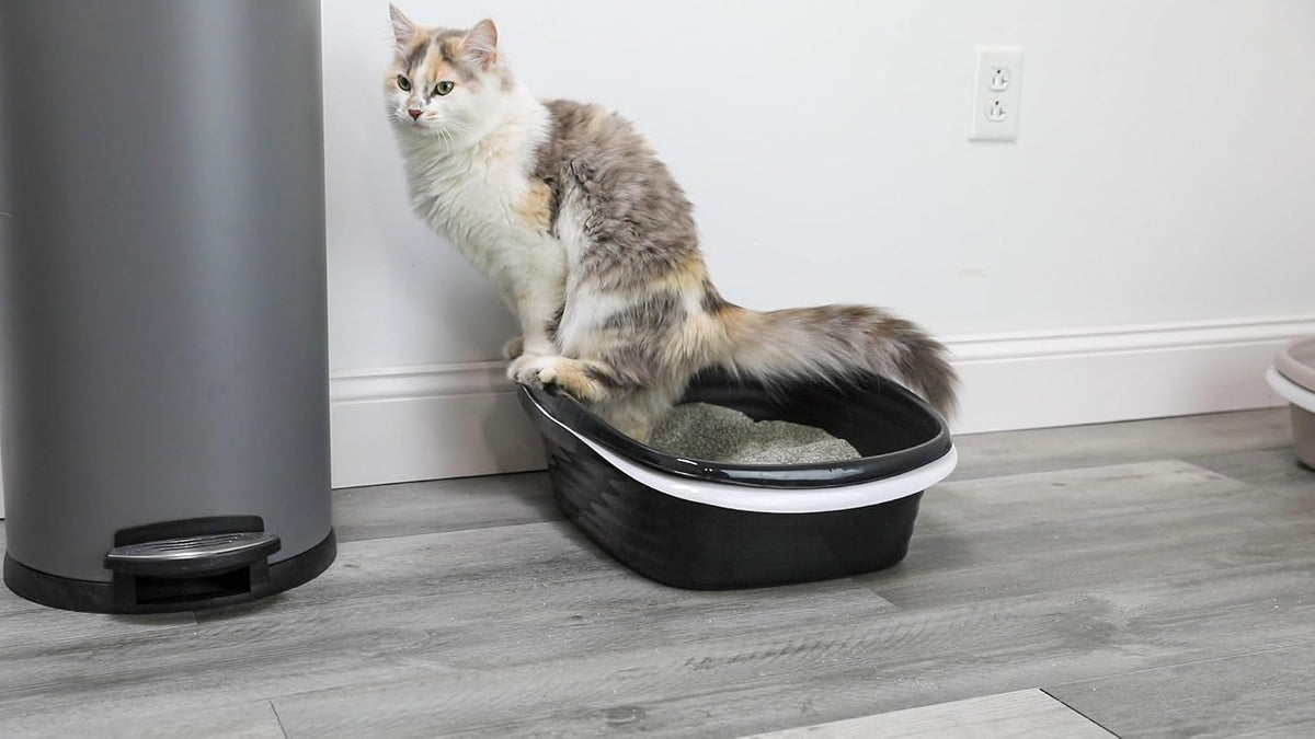 Arm and Hammer cat litter tray showing lift to sift mechanism