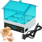Poultry hatching setup with chicken and quail eggs
