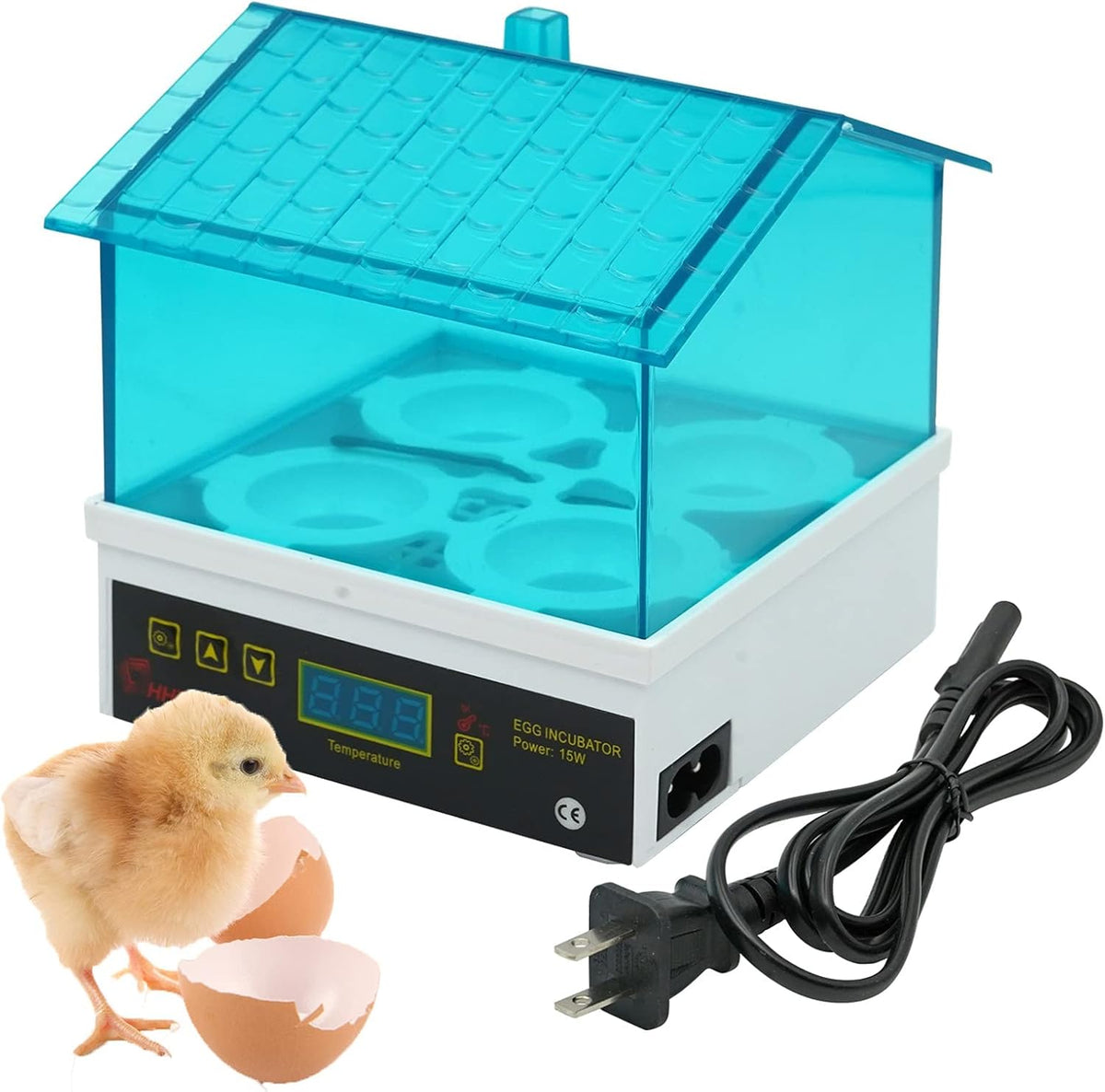 Poultry hatching setup with chicken and quail eggs