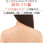 Pipp Eleciban 130 therapeutic device branding view
