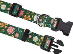Mihqy dog collar and leash set laid flat