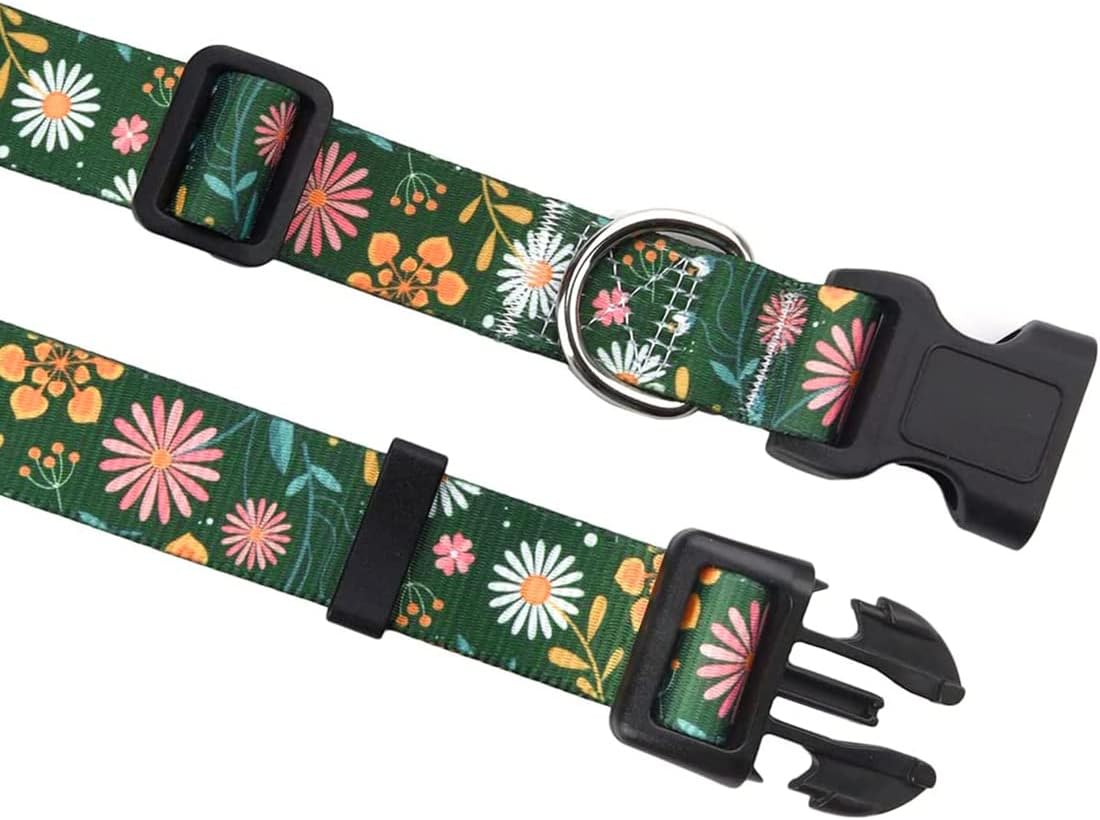 Mihqy dog collar and leash set laid flat
