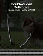 Tinmarda reflective stitching on army green nylon leash glowing at night
