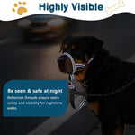 Barkless muzzle leash reflective stitching detail