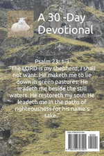 Feed the Sheep - Image 3