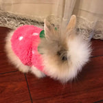 ANIAC guinea pig cozy winter clothes back length view