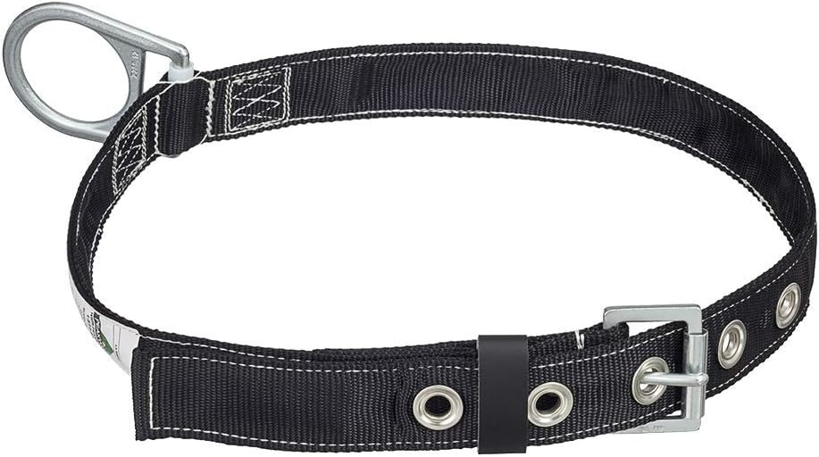 PeakWorks safety harness back dorsal D-ring view
