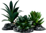 Reptile Artificial Plants Succulent Terrarium Decorative Desert Rainforest Plant Lizard Beard Chameleon Gecko Snake Amphibious Sea Turtle Tank Accessory (Agave-Set) - Image 9