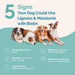 Beef flavored crushable tablets for large breed canine hormone and adrenal health