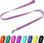 Waterproof Dog Leash, 5/6 FT Durable Odor-Proof Dog Leashes with Strong Metal Hooks Fits Small Medium or Large Dogs (Blue, 6FT - 1 inch Width) - Image 14