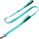 Max and Neo double handle traffic dog leash in teal color