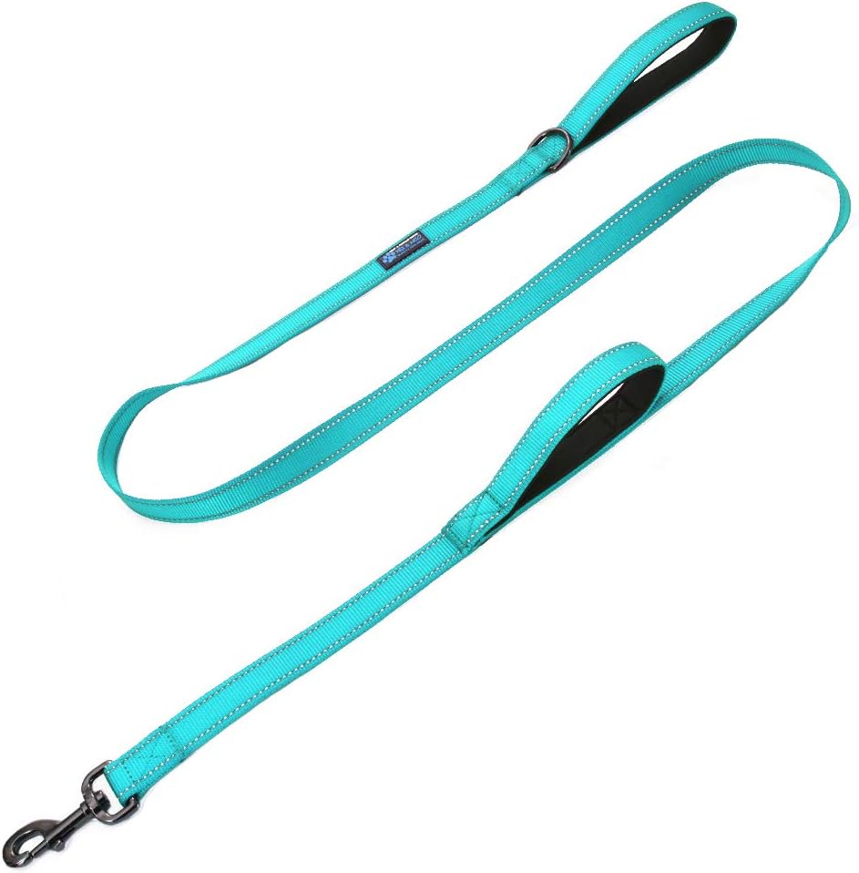Max and Neo double handle traffic dog leash in teal color