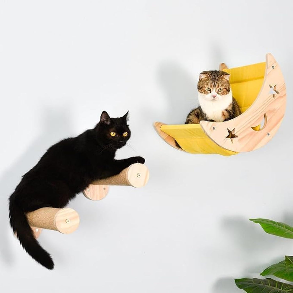 Ditosh wall cat bed moon hammock front view