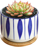 GeLive 3 inch flower container showing bottom drainage hole