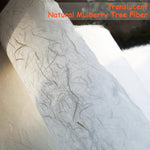 Close-up of translucent mulberry paper fibers and surface finish