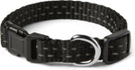 Amazon Basics dog seat belt attached to a dog harness