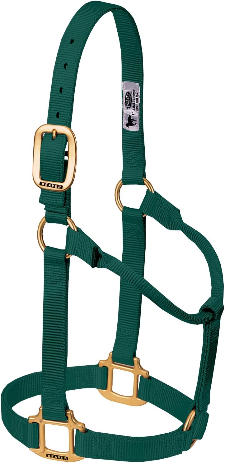 Weaver Equine nylon horse halter front view